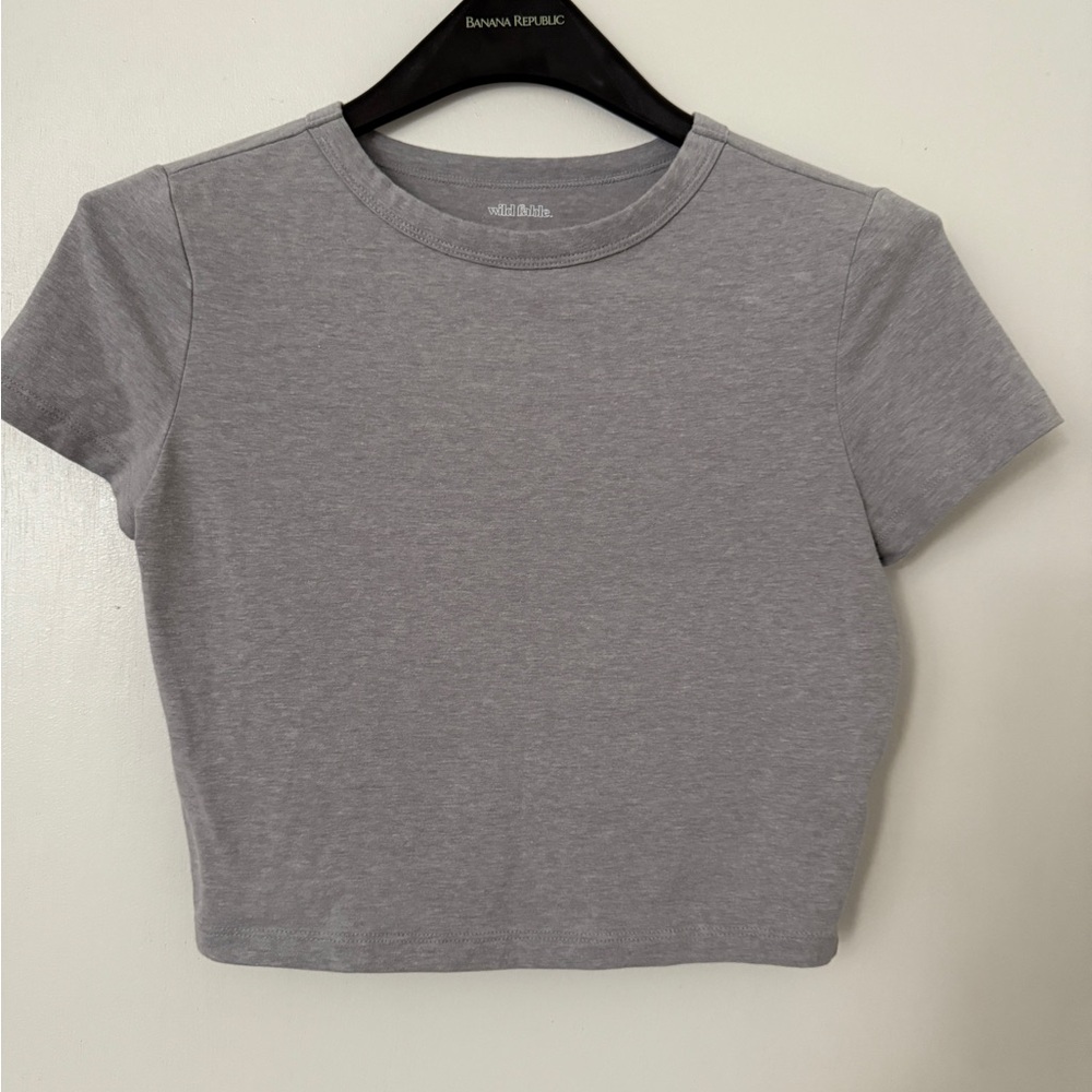 Wild Fable Gray Cropped Fitted T-Shirt